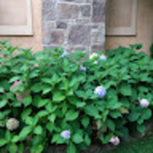 Meet your Posher, Don